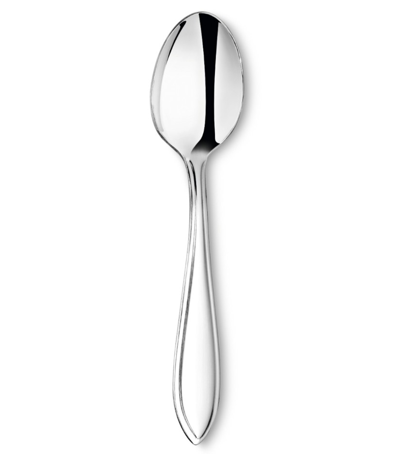 Karox Theelepeltje 1x12st